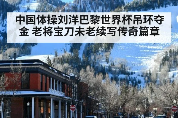 中国体操刘洋巴黎世界杯吊环夺金 老将宝刀未老续写传奇篇章